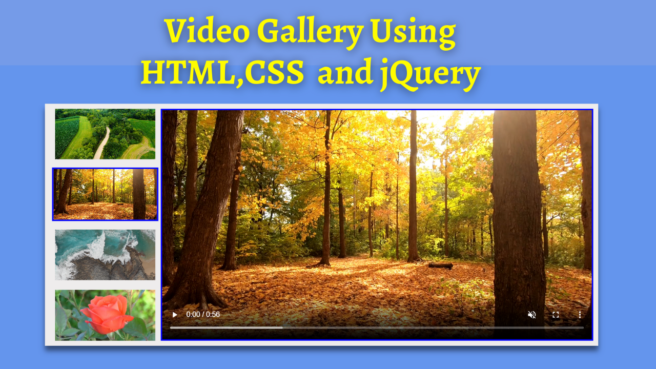 Video Gallery Using HTML, CSS
